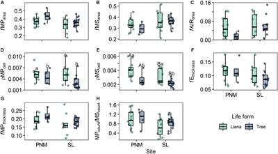 Leaf Anatomical Traits of Lianas and Trees at the Canopy of Two Contrasting Lowland Tropical Forests in the Context of Leaf Economic Spectrum